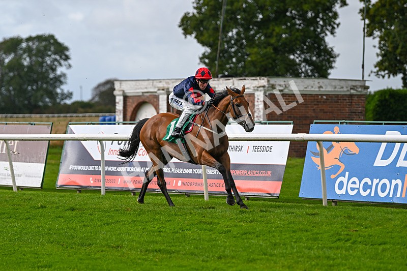 150925-Race 1-Max Of Stars-2195 - Race 1