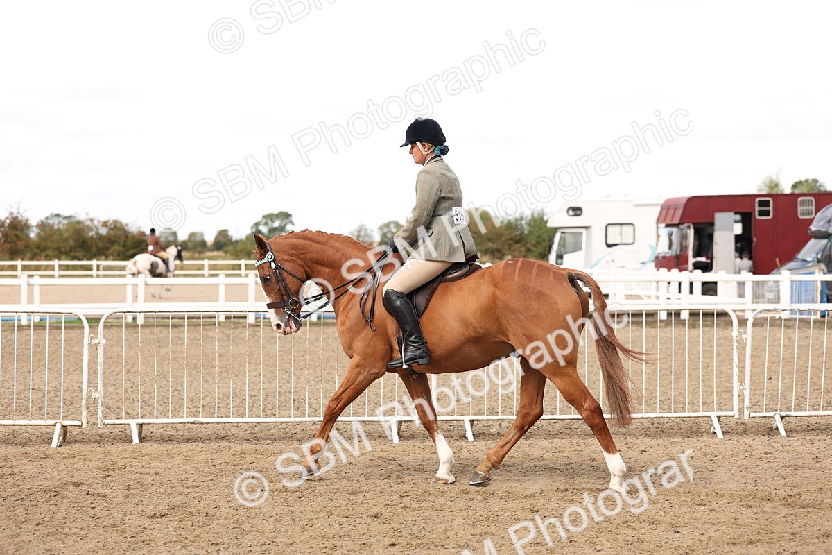 SBM_04258 - Class 54 - Riding Club Horse/Pony