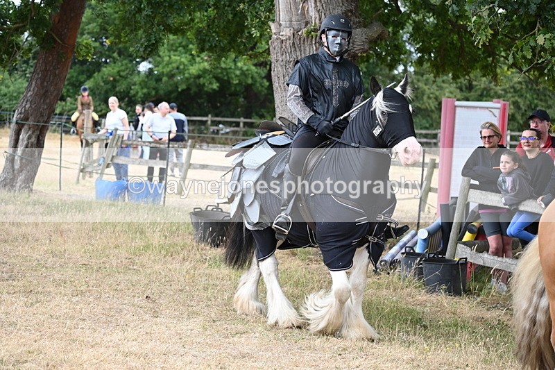 WJ6_8913 - Class 11 Fancy Dress