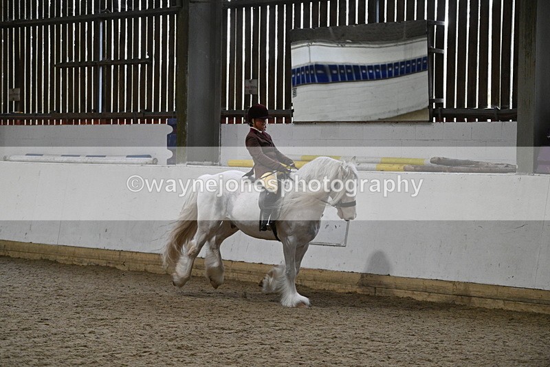 WJ7_4220 - Class 17 Ridden Cob