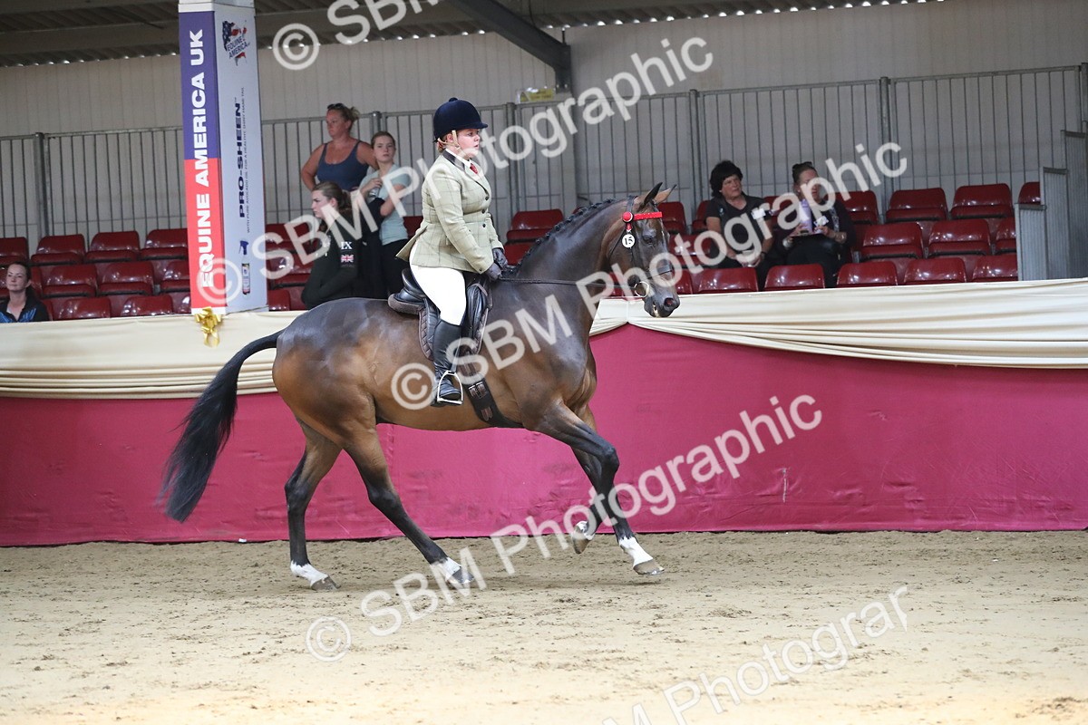 SBM_02868 - Class 6a Area Ridden Pre Vet
