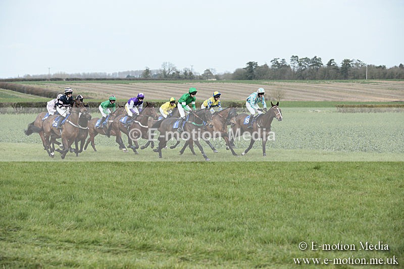 PtP 230319 150 - VWH Hunt Siddington Point-to-Point Racing 23/03/19