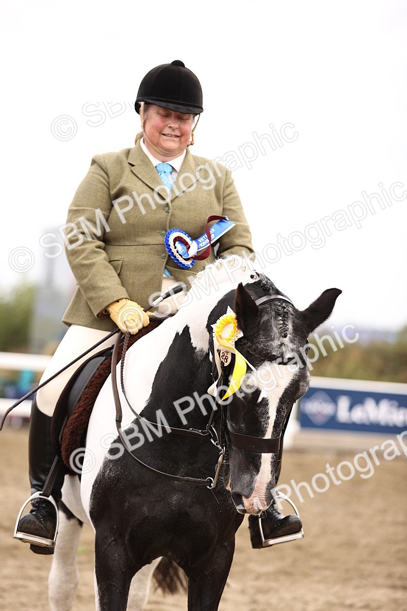 SBM_01444 - Class 54 - Riding Club Horse Pony