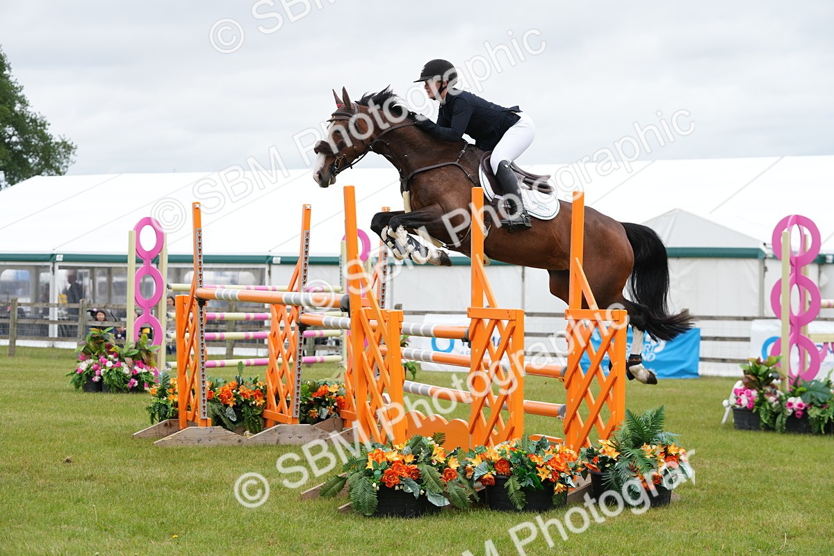 SBM_03155 - Class 201 - British Horse Feeds Speedi Beet Horse of the Year Show Grade  C
