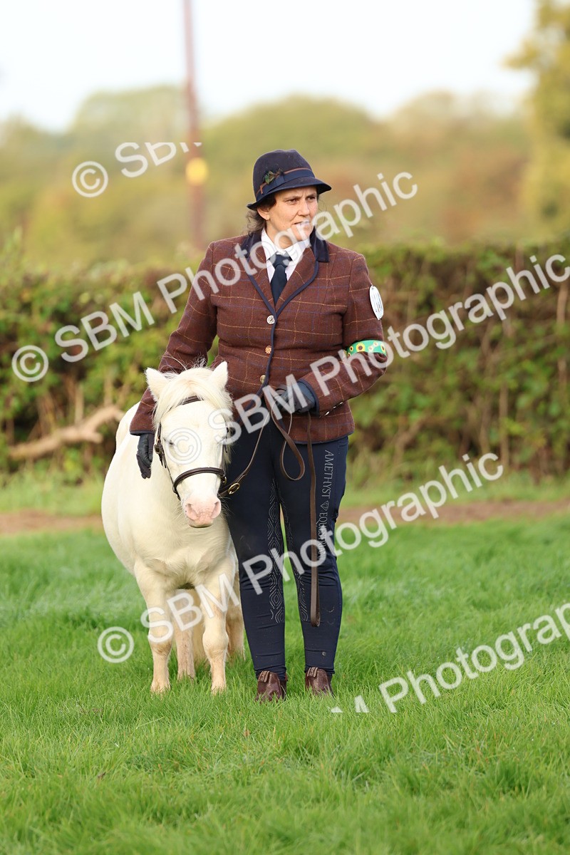 SBM_54897 - S39 - Starters In Hand Showing