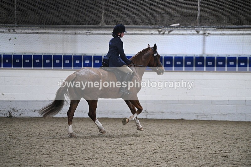 WJ7_4117 - Class 17 Ridden Cob