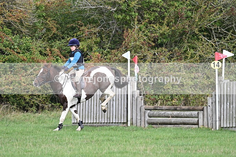 WJ7_8395 - 60cm Pairs