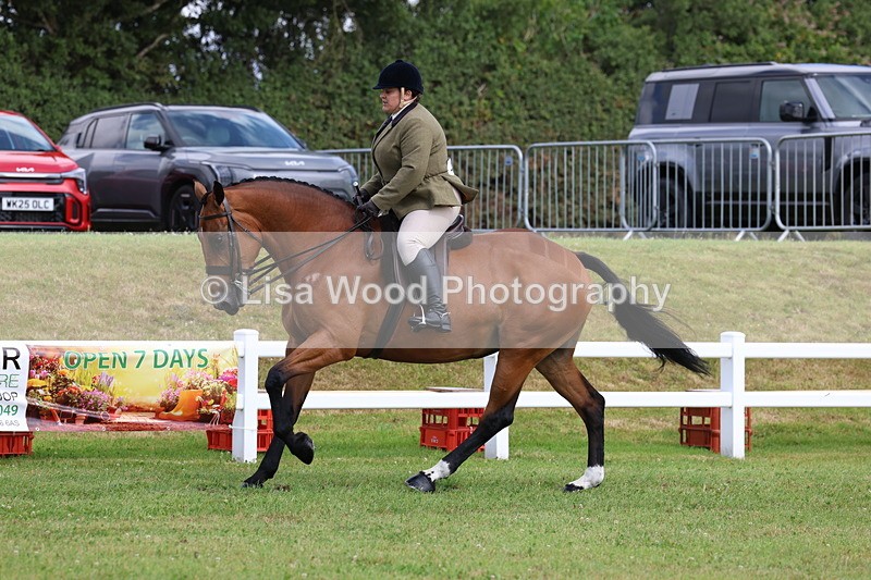 3E7A9337 - Class 4: Rising Star M/H Hunter