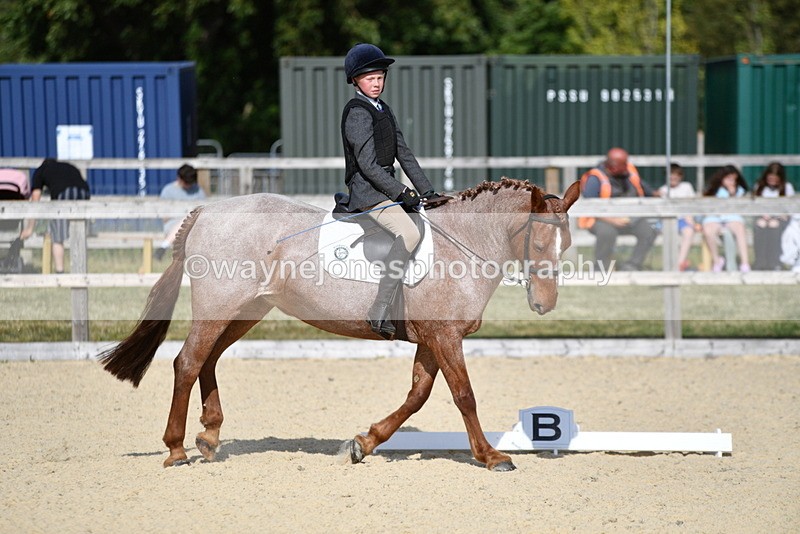 WJ5_8017 - Time 16:56 to 17:14