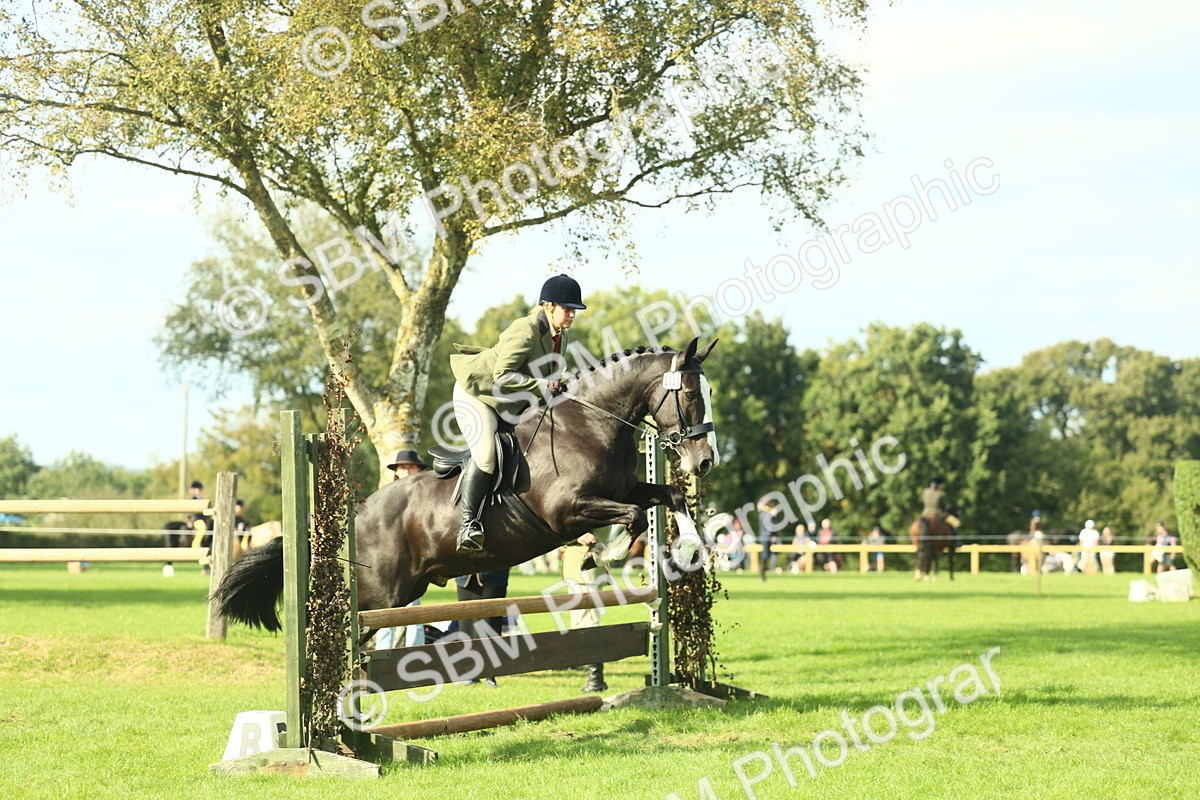 SBM_50627 - S33 - Working Hunter & Working Show Horse