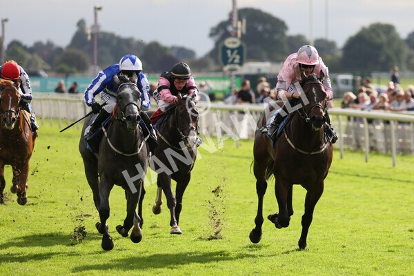 yr24092021r4-23 - Race 4 3.15pm William Hill Play Responsibly British EBF Restricted Novice Stakes