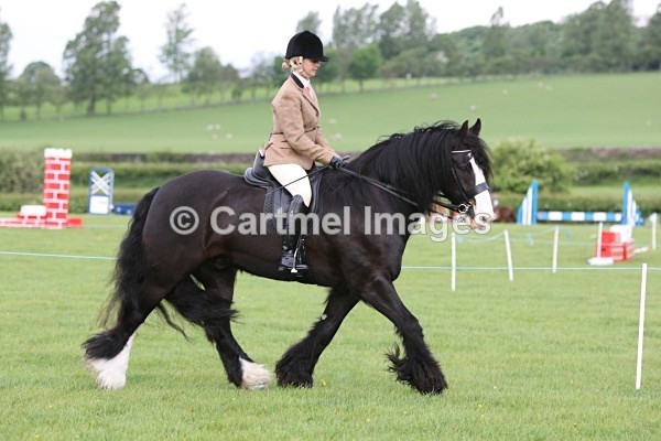 MB_M1547 - Ridden Showing