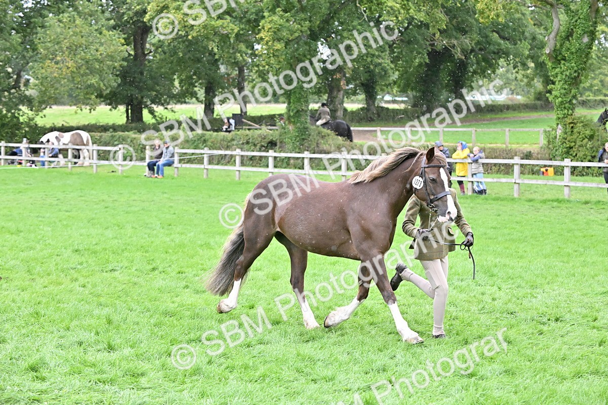 SBM_68587 - S42 - Junior Handler 9-12 Years