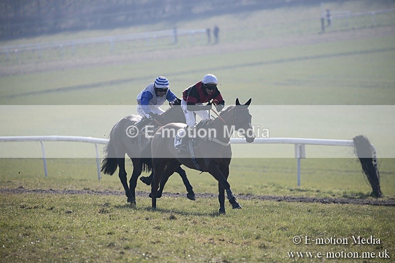 PtP 240218 37 - Vine & Craven Hunt Point-to-Point Barbury racecourse 24/02/18