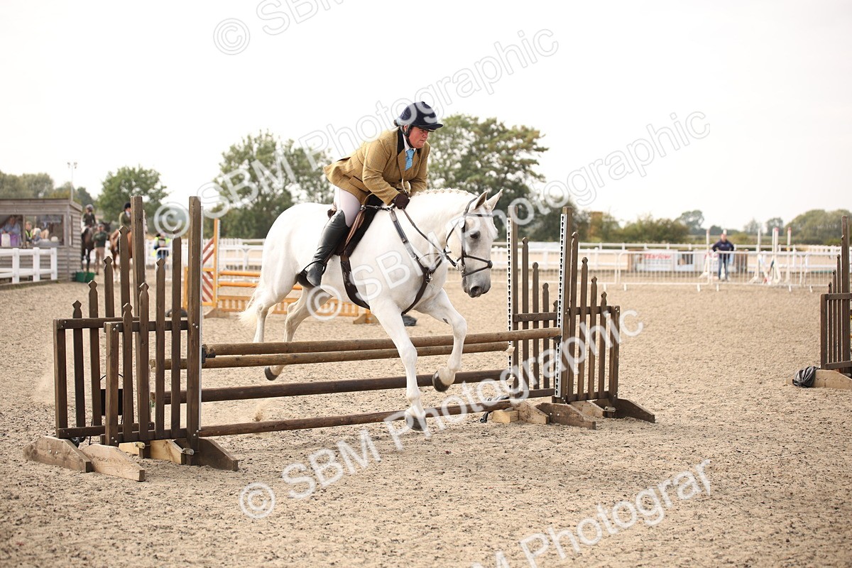 SBM_17270 - Class 410a - Wor5king Veteran 90cm (15-19)