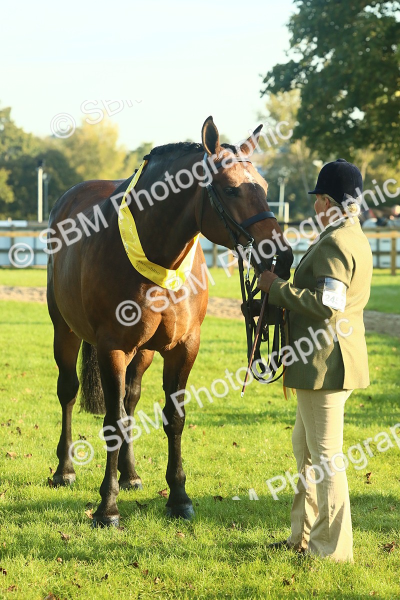 SBM_56760 - S36 - Starters Best Turnout