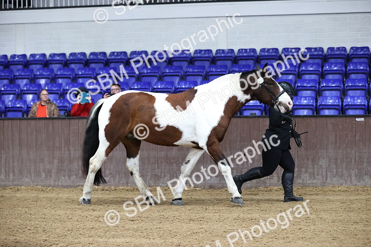 SBM_5260 - Class 32 - In Hand Cob Type