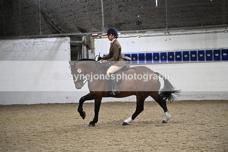 WJ7_4019 - Class 17 Ridden Cob