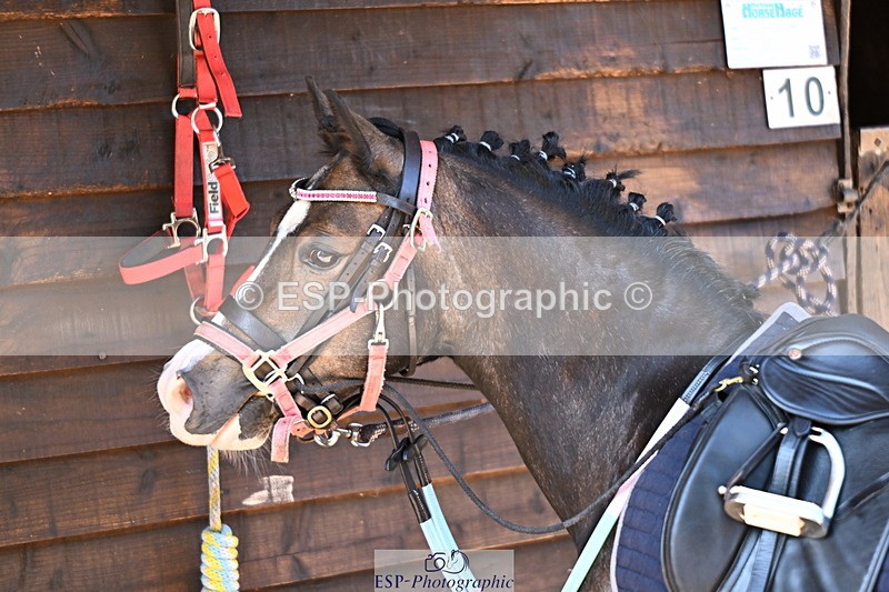 240729B-094805-01815 - Monday Stable Shots