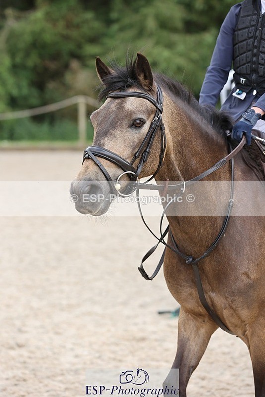 240616-105316-03219 - 60cm