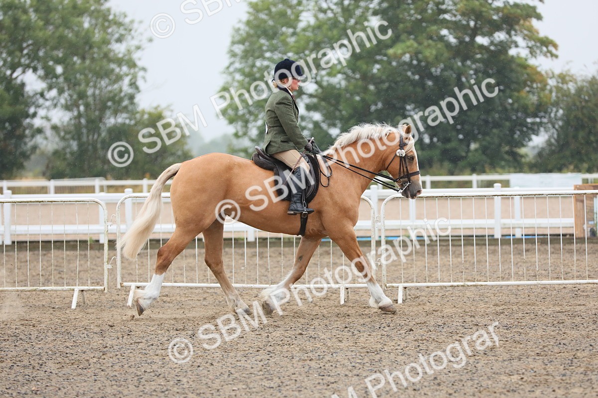 SBM_20278 - Class 803 - Ridden Combination 65+