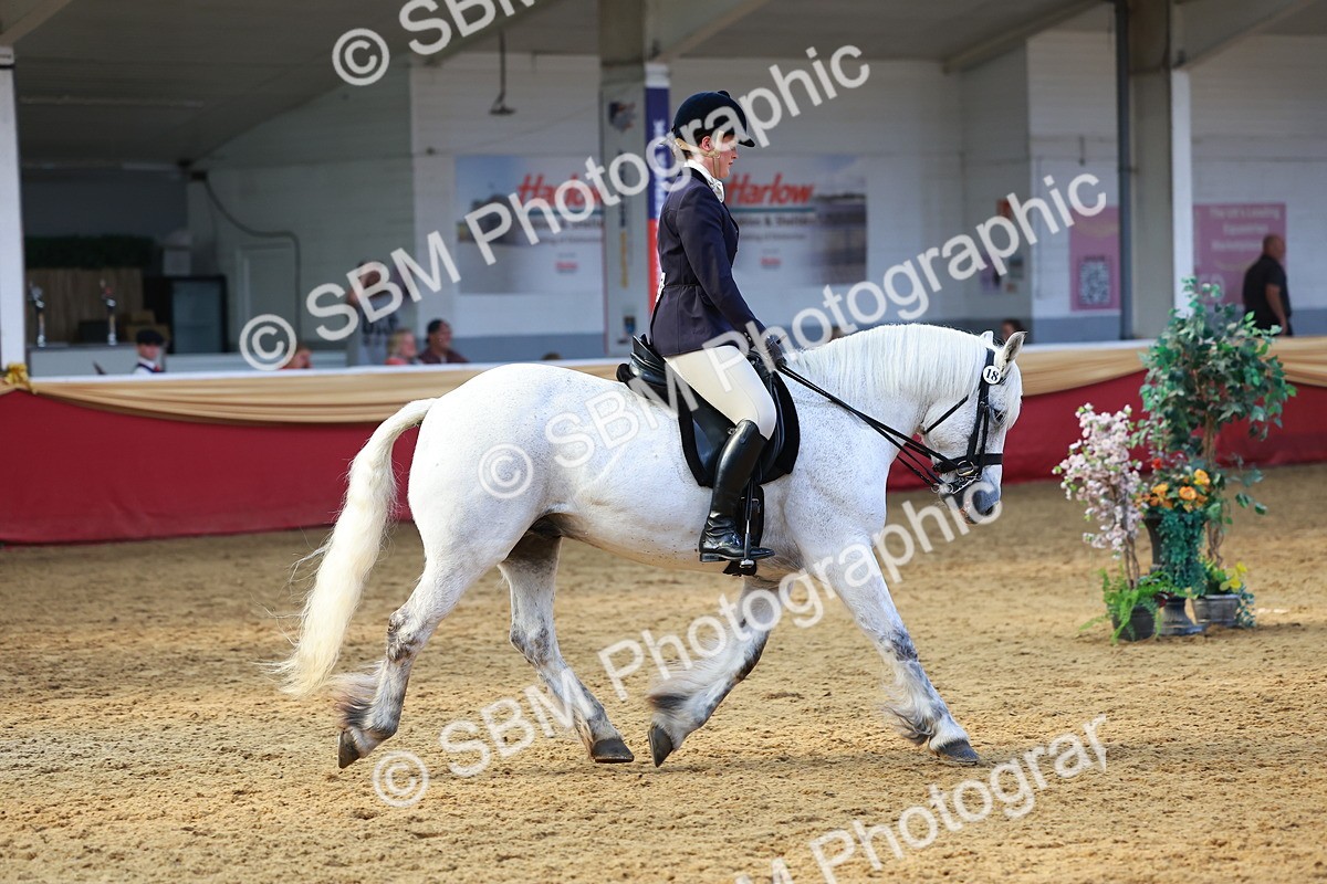 SBM_20537 - Class 906 - Sup Final Ridden Champ