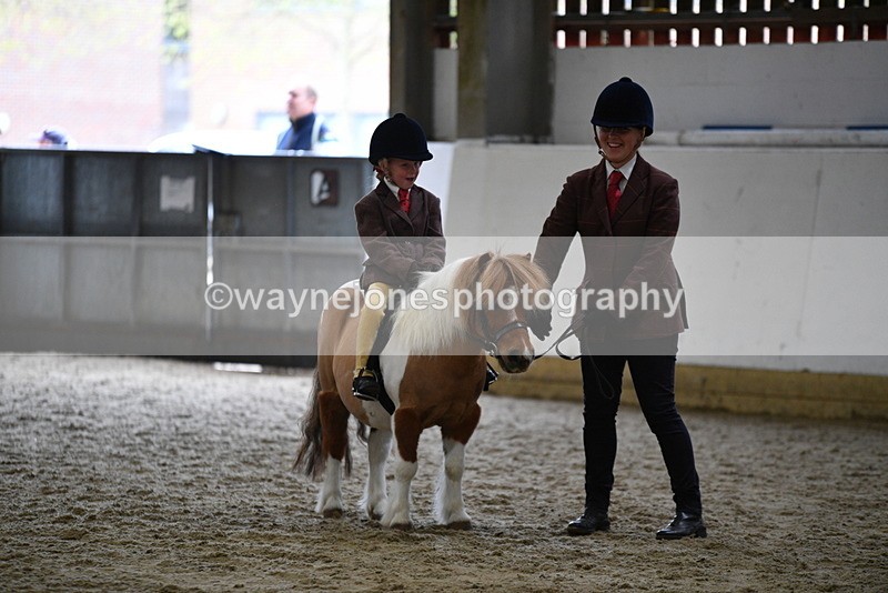 WJ5_6792 - Class 10 Childs Pony