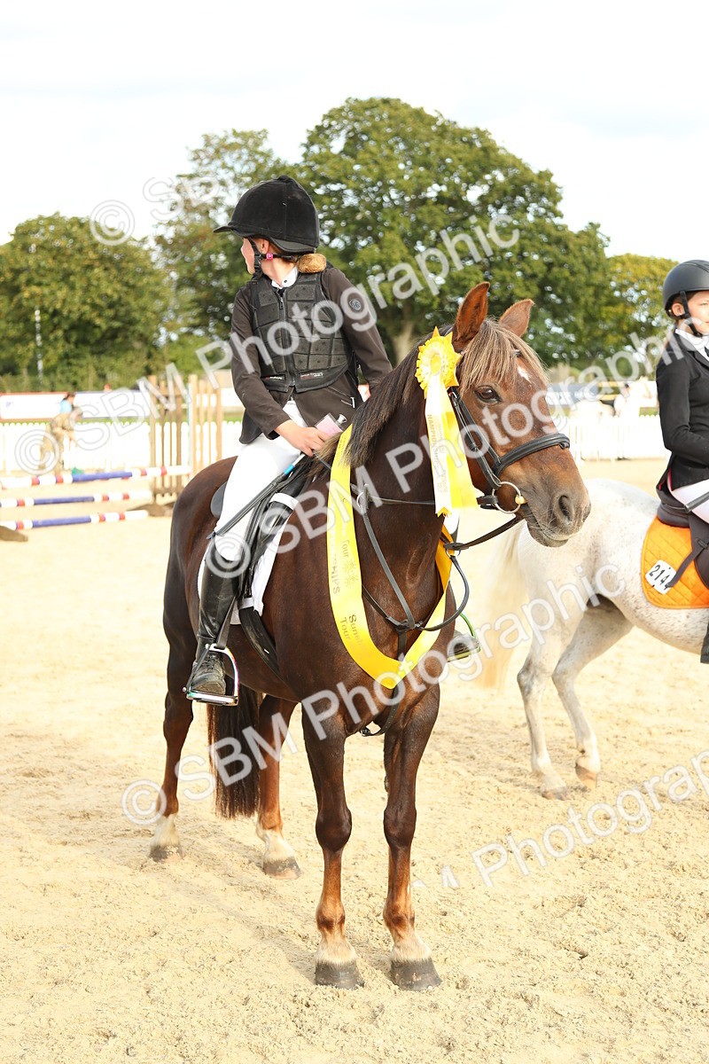 SBM_51730 - J7 - Junior Pony 60cm Championship