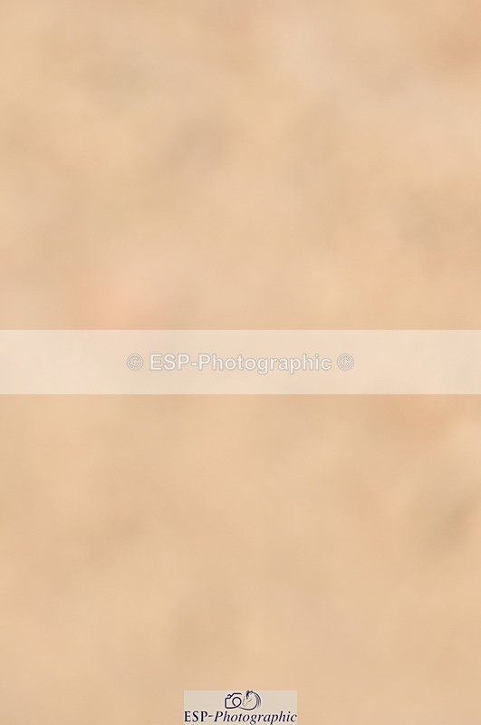 240403A-155410-01057 - Cls 5 Foxhunter and 1.20m Open