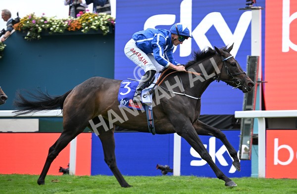 200825-232 Santorini Star - Race 5 4.10pm Sky Bet Stayers Handicap