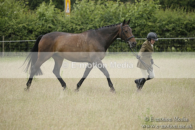 B230619-0775 - Bourne Valley Riding Club Summer Show 23/06/19