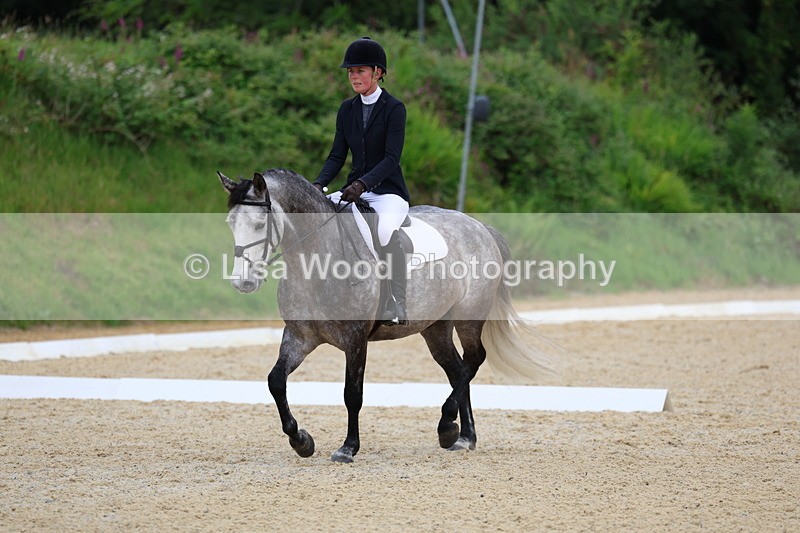 3E7A1696 - Class 2: Intro 2 2024 Section B