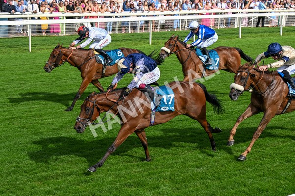 280625-Race 6-Dream Out Loud-0569 - Race 6 4.50pm Al Basti Equiworld Dubai Sprint Handicap