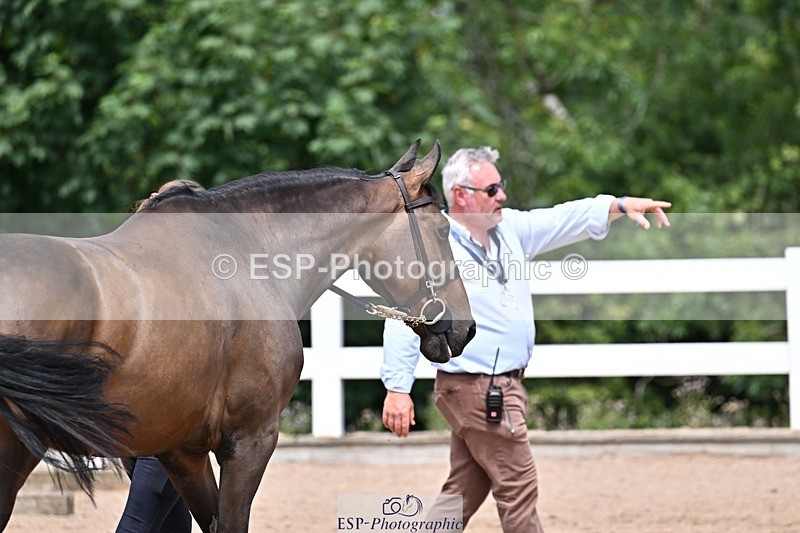 250716-125809-00251 - Trot Up 12.30 to 1.30