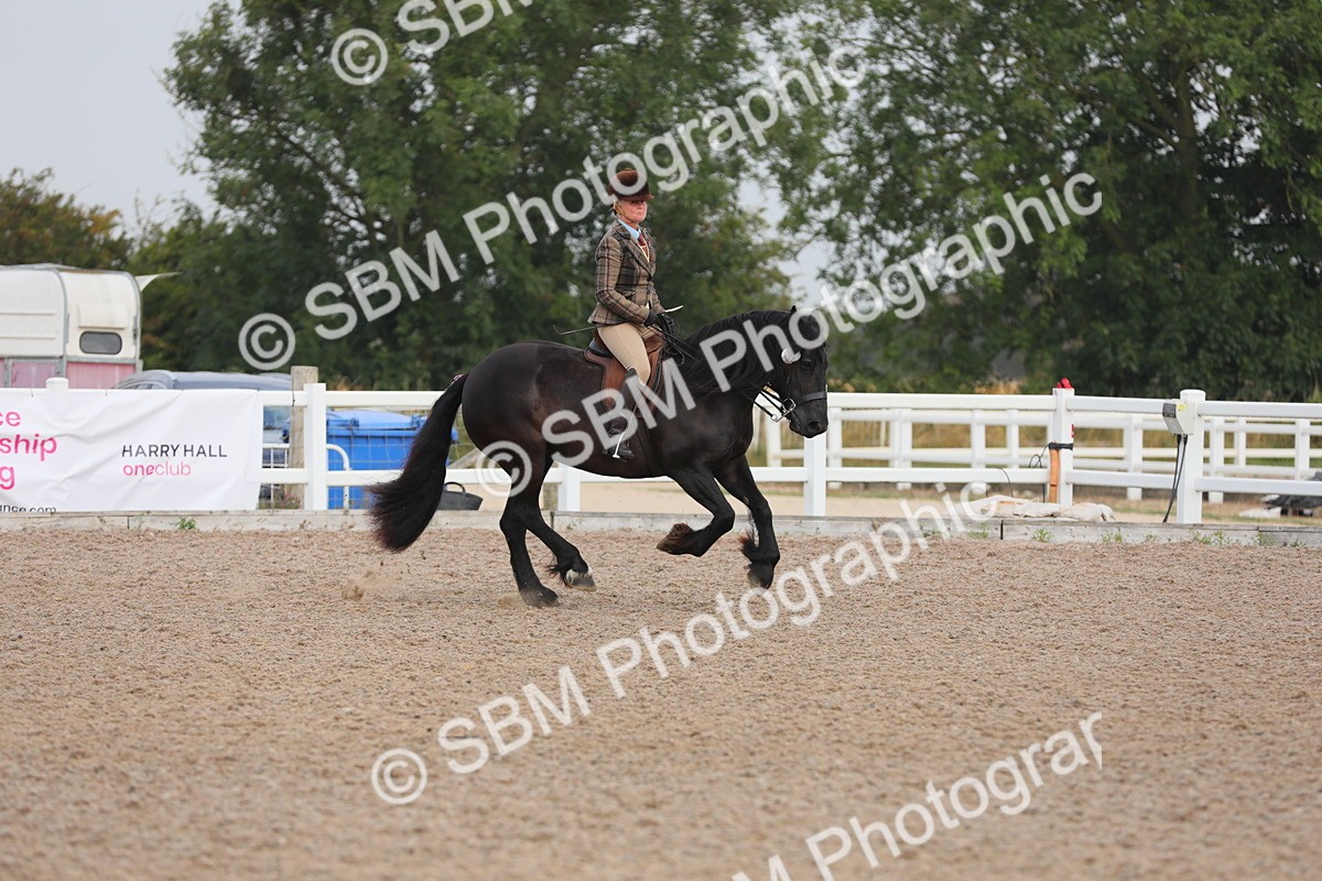 SBM_10012 - Class 302 Ridden M&M -Large Breeds