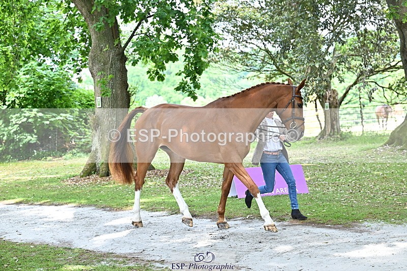 250521A-151921-00421 - B-307-Rosalind.Canter-SILVESTERS.FINESSE