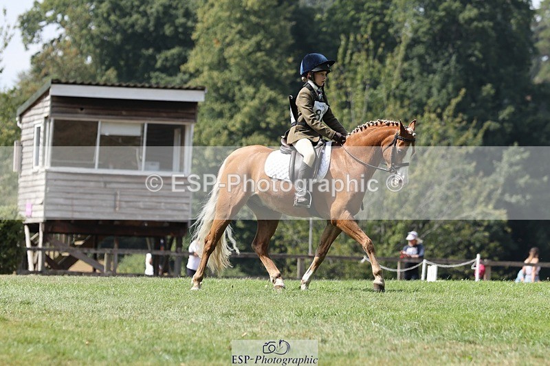 250823A-135412-31387 - Arena D