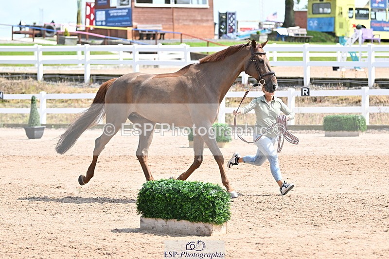 240717A-151128-02626 - Trot Up 3pm to 4pm