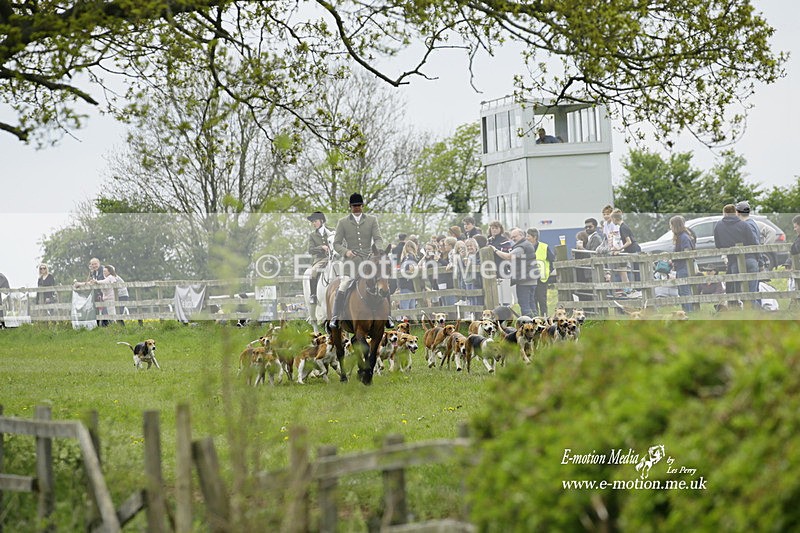 PtP 020522 248 - Mollington Races Point-to-Point 02/05/22