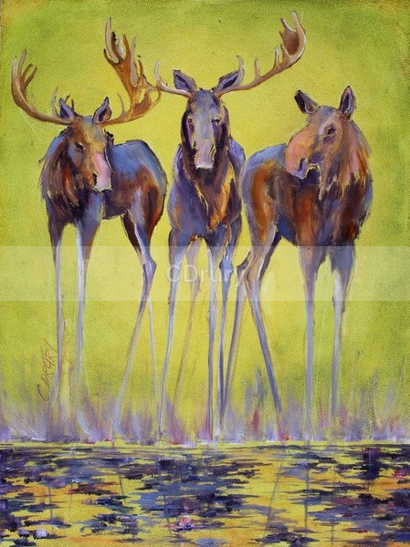 Stand Your Ground SOLD - Archived