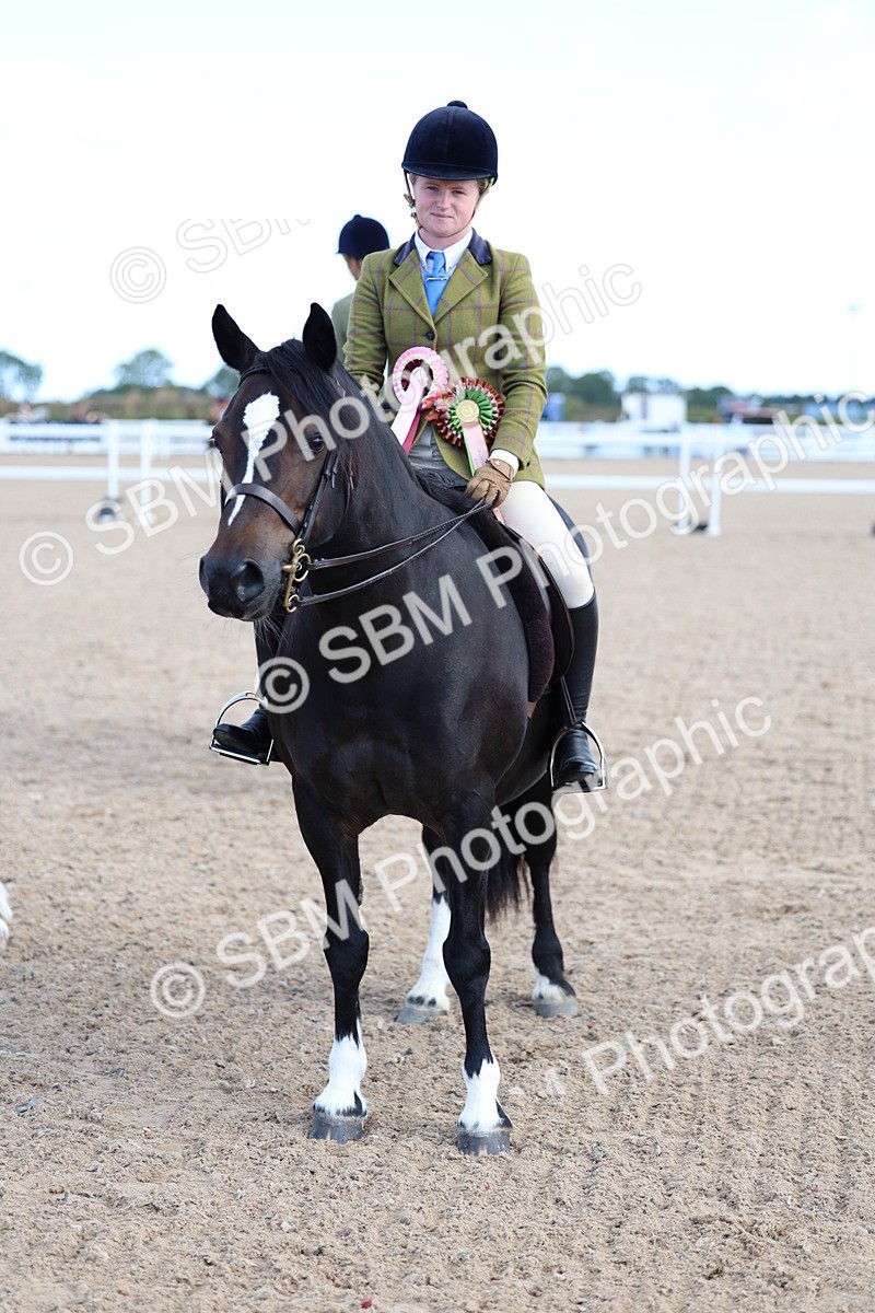 SBM_08972 - Class 302 - Ridden M&M - Large Breeds