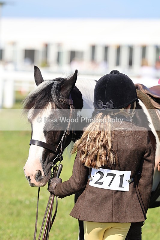 IMG_1572 - Class 30: Ridden Native/Trad Coloured Pony