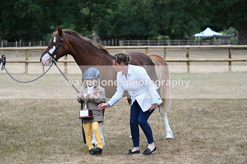 WJ7_9365 - Prettiest Mare Champs
