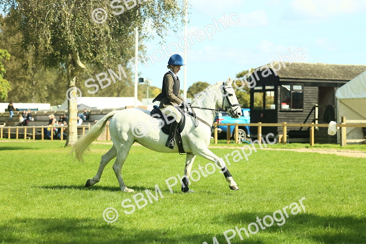 SBM_39268 - S29 - Novice & Newcomers Working Hunter Pony