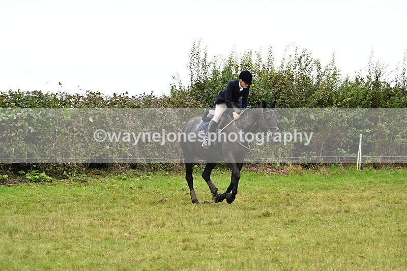 WJ7_4234 - Camera 1 Line 2