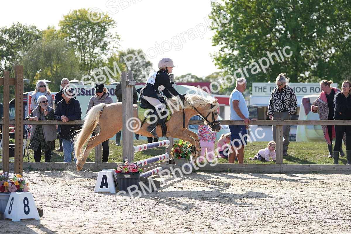 SBM_49280 - J8 - Junior Pony 65cm Championship