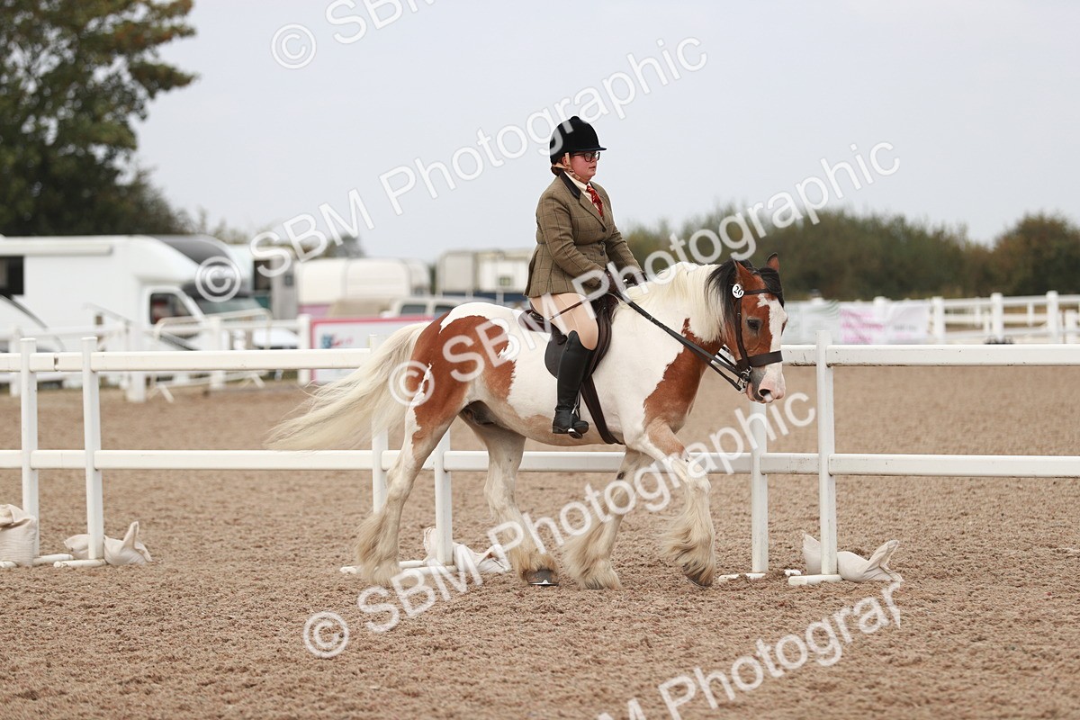 SBM_16658 - Class 214 Ridden Cob