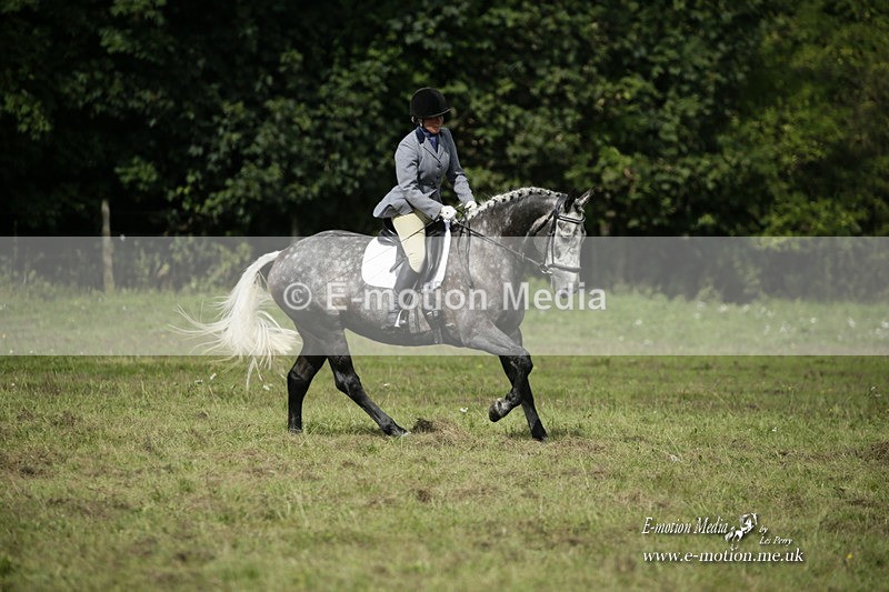 BVRC 120921 432 - Bourne Valley Riding Club UA Dressage & Show Jumping 12/09/21