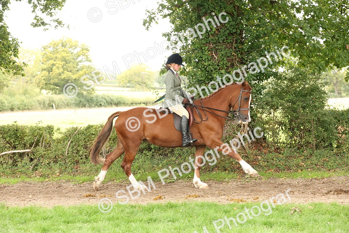 SBM_66311 - S66 - Hunter Ridden