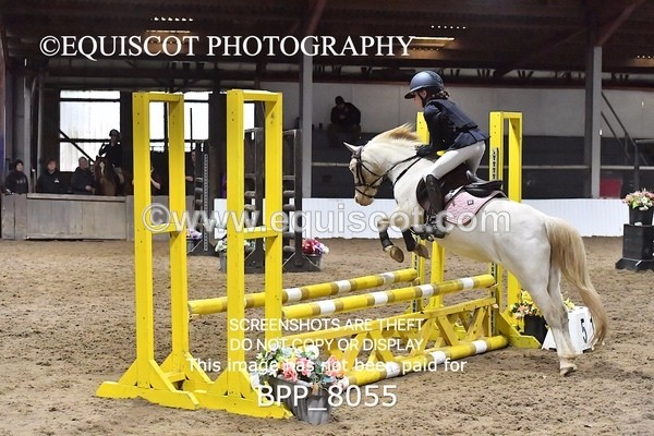 BPP_8055 - CLASS 1  Club/ Unaffiliated 60cms Open